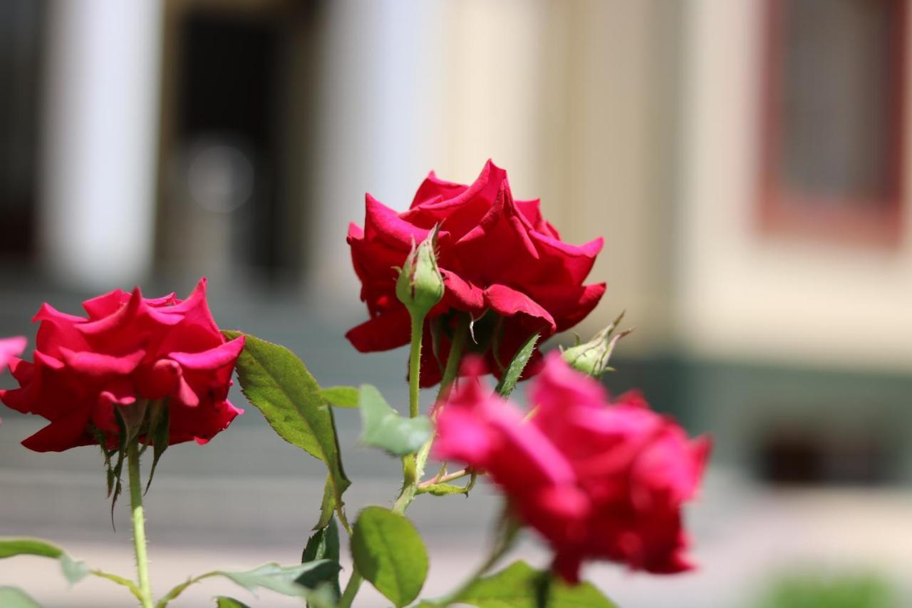Chinor Garden Hotel Tasjkent Buitenkant foto